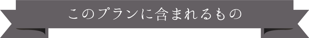 このプランに含まれるもの