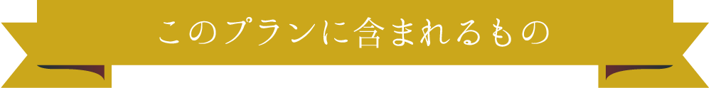 このプランに含まれるもの