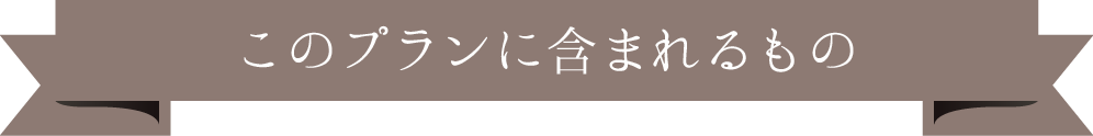 このプランに含まれるもの