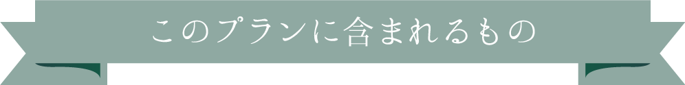 このプランに含まれるもの