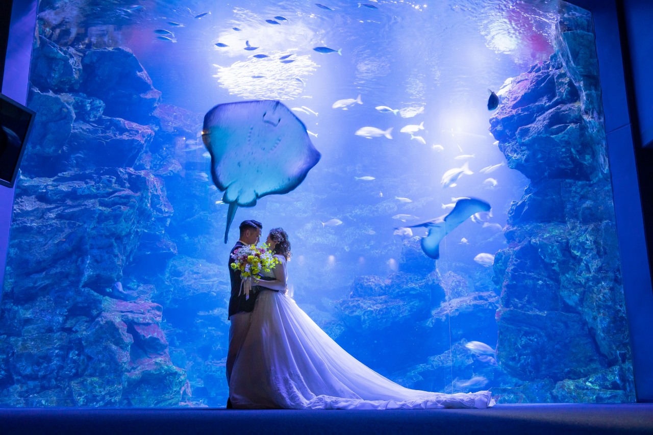 公式 ロケーションフォトウェディング 公式ホームページ 大阪 空港近くの結婚式場 ベルクラシック空港
