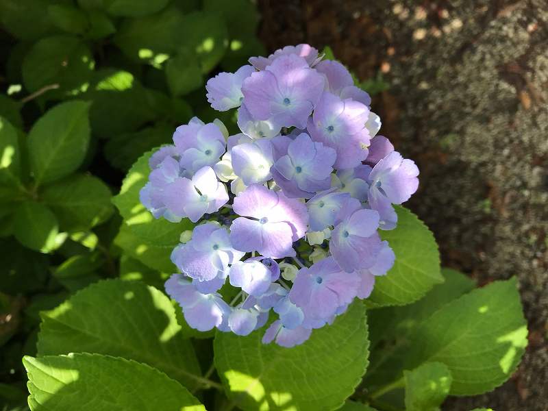 公式 ブログ 公式ホームページ 大阪 空港近くの結婚式場 ベルクラシック空港