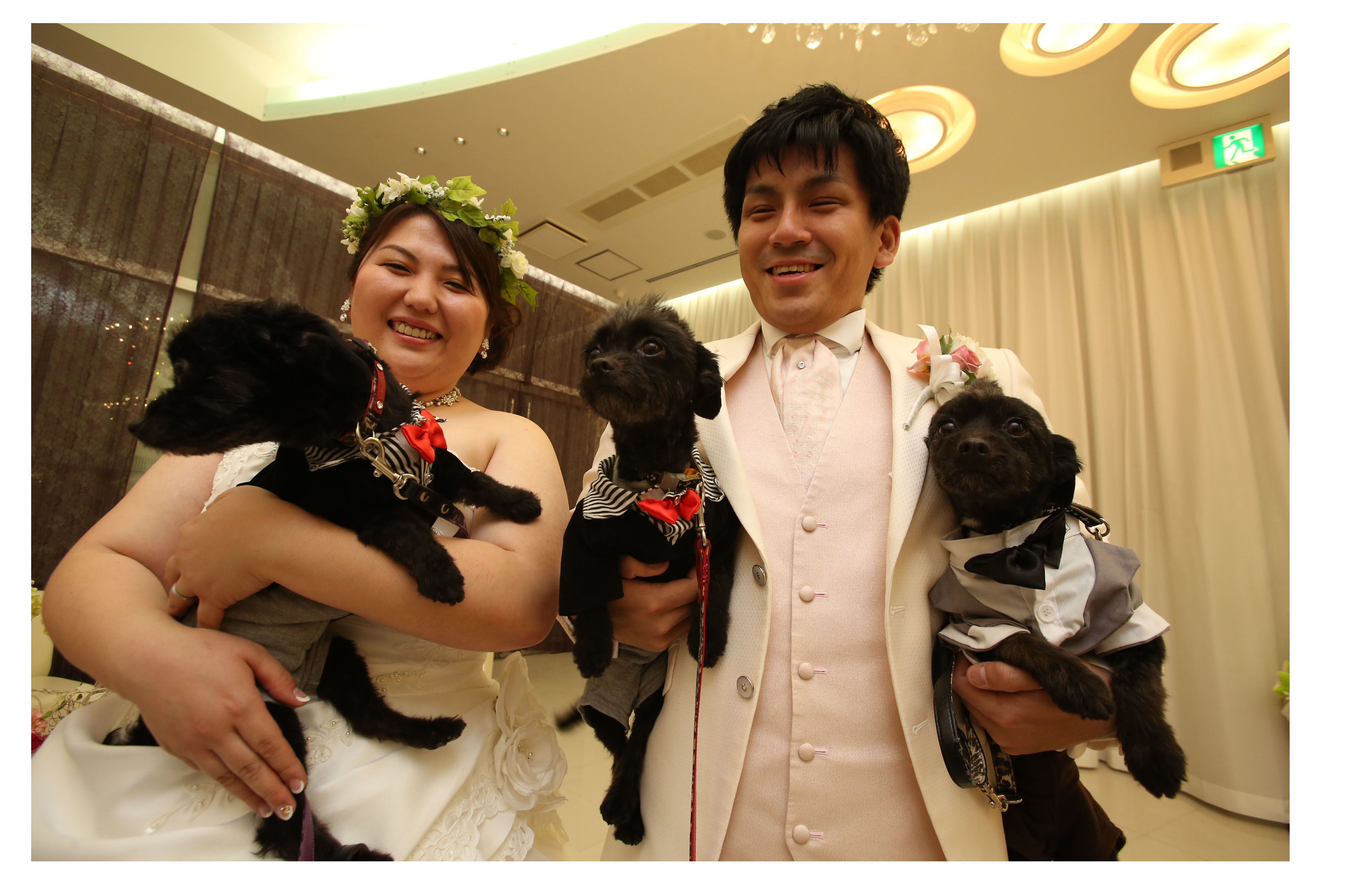 公式 レポート 関西 堺の結婚式場 アール ベル アンジェ堺