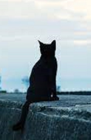 公式 ブログ アールベルアンジェ仙台 宮城の結婚式場